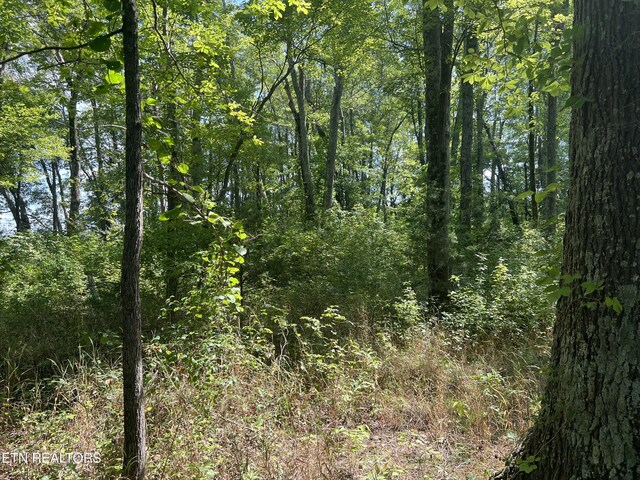 10.02AC Gum Springs Mountain Rd, Walling, TN 38587 - photo 31