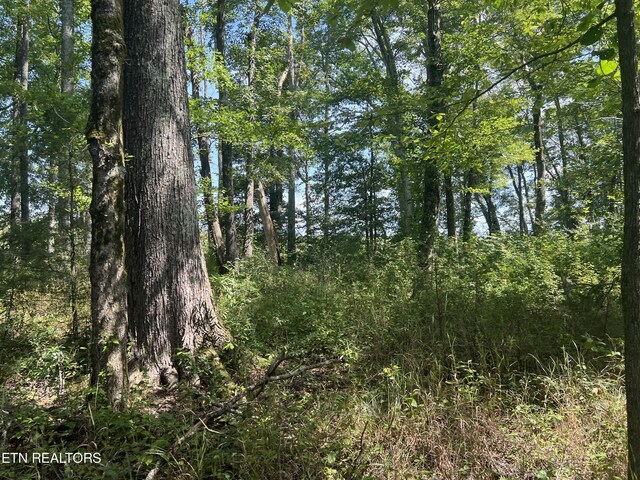 10.02AC Gum Springs Mountain Rd, Walling, TN 38587 - photo 33