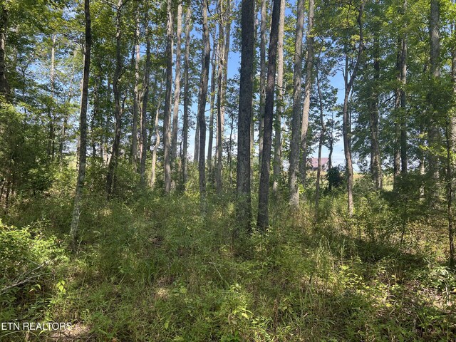10.02AC Gum Springs Mountain Rd, Walling, TN 38587 - photo 34