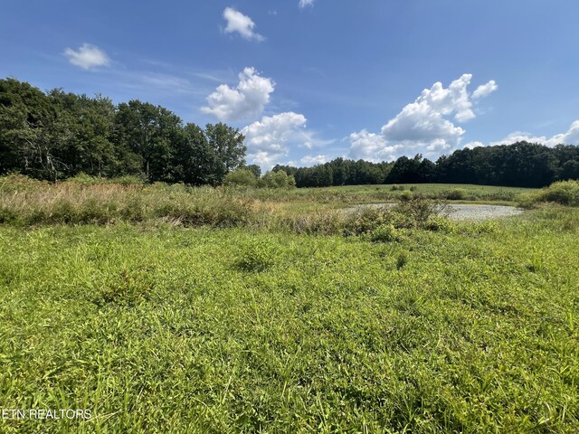 10.02AC Gum Springs Mountain Rd, Walling, TN 38587 - photo 16