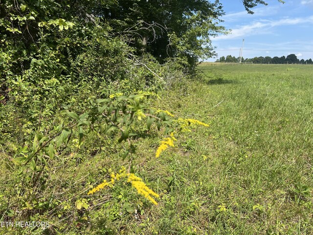 10.02AC Gum Springs Mountain Rd, Walling, TN 38587 - photo 28