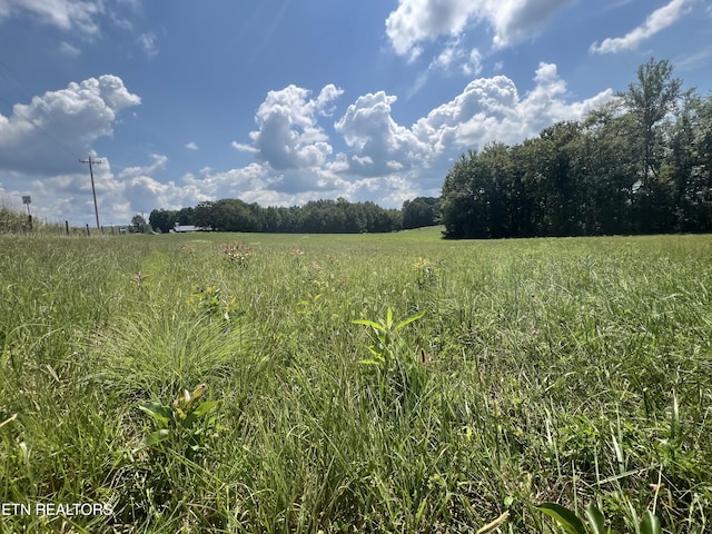 10.02AC Gum Springs Mountain Rd, Walling, TN 38587 - photo 20