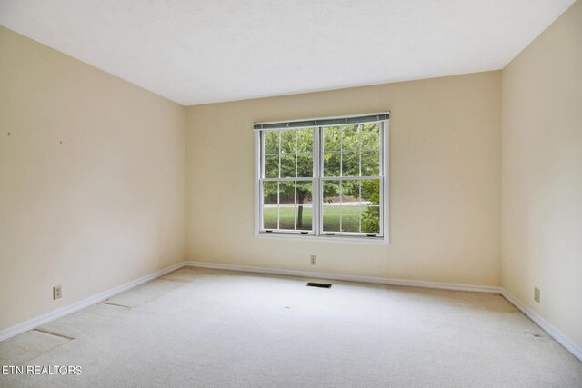 45 Bingham Ln, Crossville, TN 38558 - photo 29