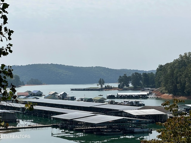 water view with a dock