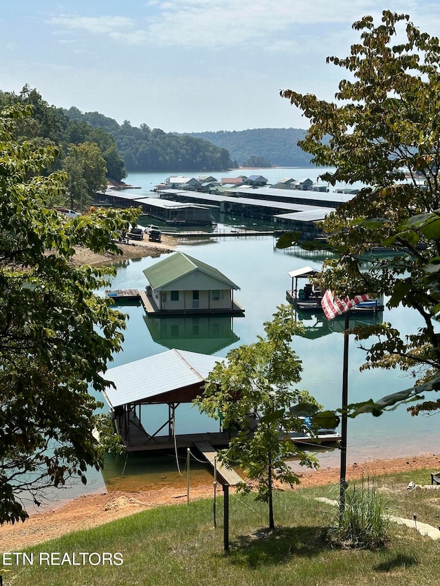 view of water feature with a boat dock