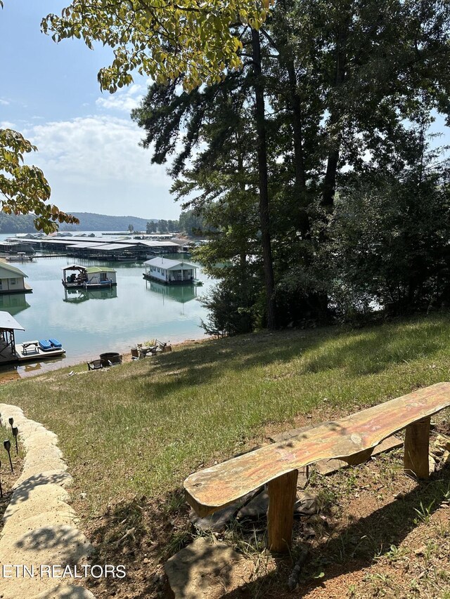 property view of water featuring a boat dock