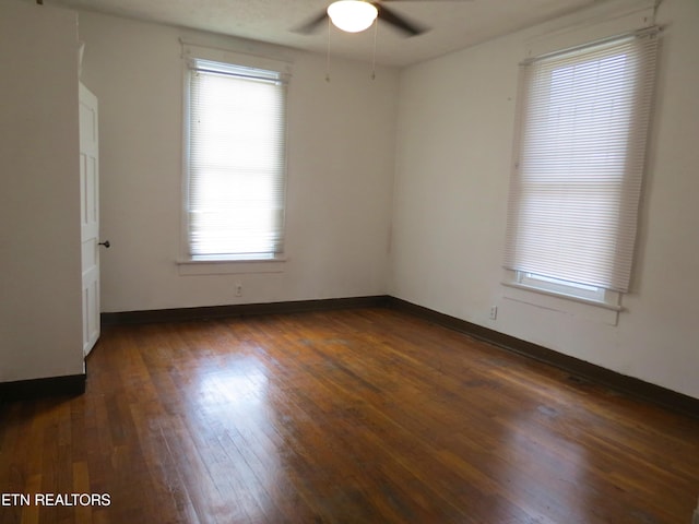 2829 Linden Ave, Knoxville, TN 37914 - photo 17