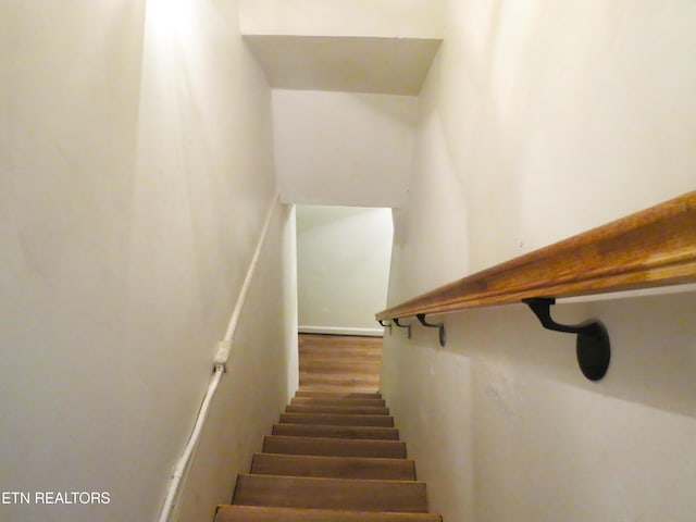 2829 Linden Ave, Knoxville, TN 37914 - photo 20