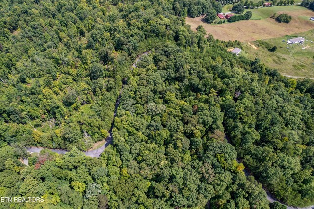 2838 Culverts Cv, Maryville, TN 37801 - photo 6