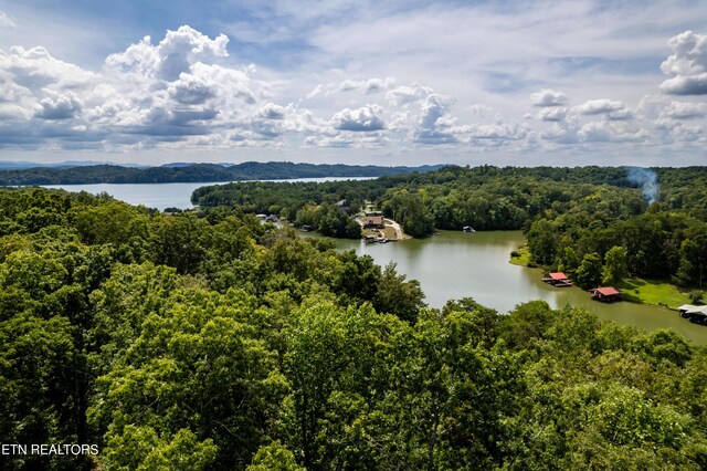2838 Culverts Cv, Maryville, TN 37801 - photo 7