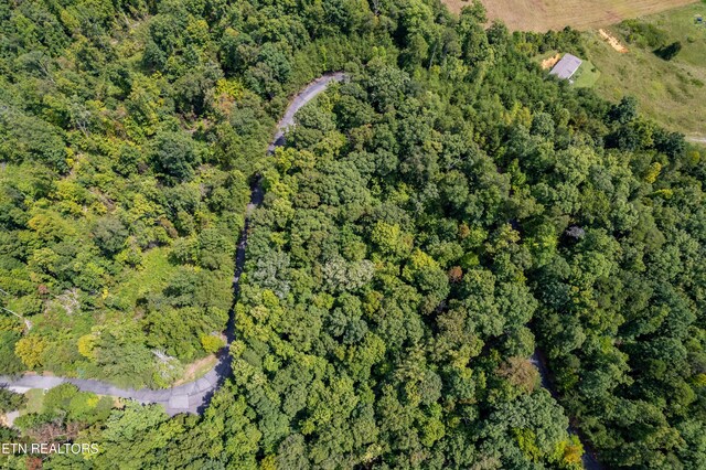 2838 Culverts Cv, Maryville, TN 37801 - photo 9