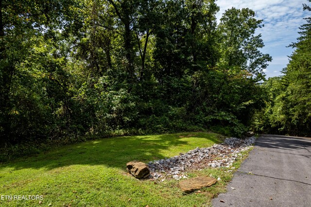 2838 Culverts Cv, Maryville, TN 37801 - photo 10