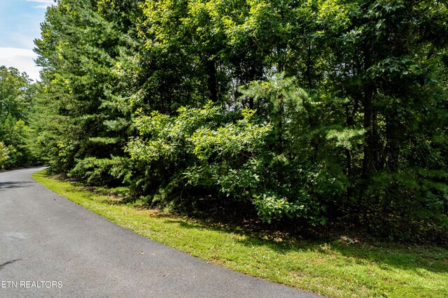 2838 Culverts Cv, Maryville, TN 37801 - photo 12