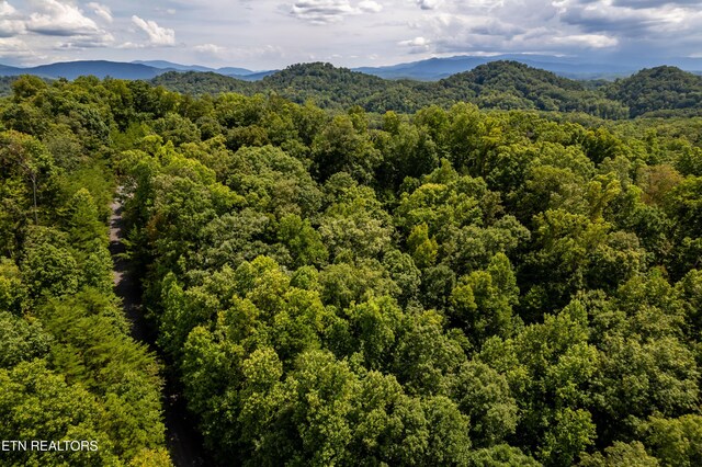 2838 Culverts Cv, Maryville, TN 37801 - photo 13