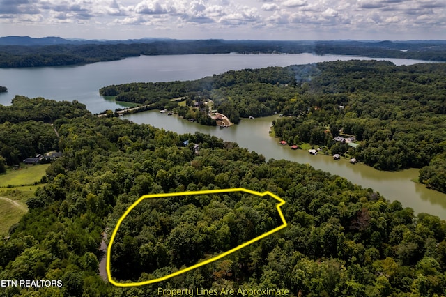2838 Culverts Cv, Maryville, TN 37801 - photo 2