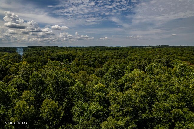 2838 Culverts Cv, Maryville, TN 37801 - photo 19