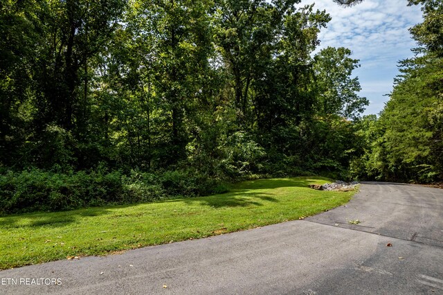 2838 Culverts Cv, Maryville, TN 37801 - photo 20