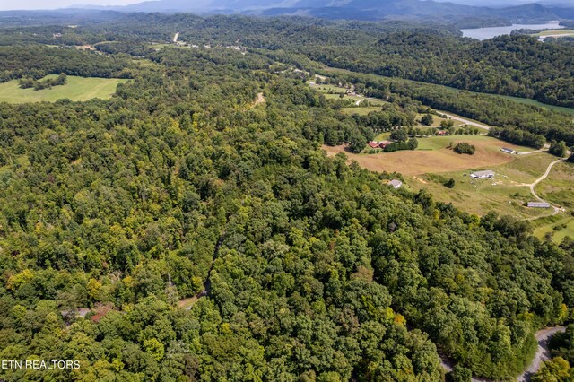 2838 Culverts Cv, Maryville, TN 37801 - photo 22