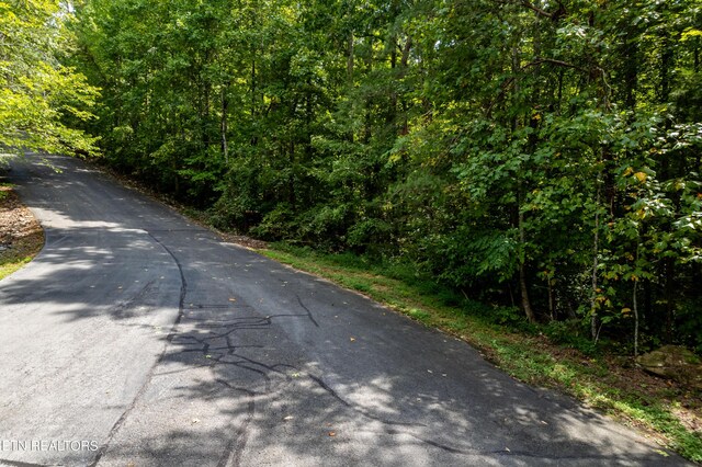 2838 Culverts Cv, Maryville, TN 37801 - photo 24