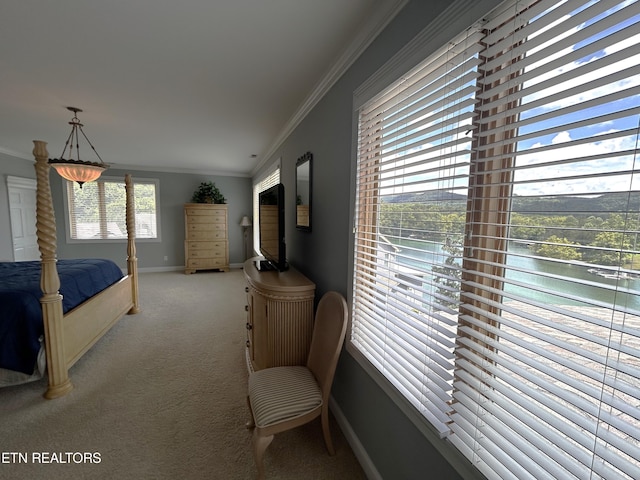 bedroom featuring ornamental molding and carpet