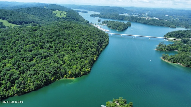 bird's eye view featuring a water view and a wooded view