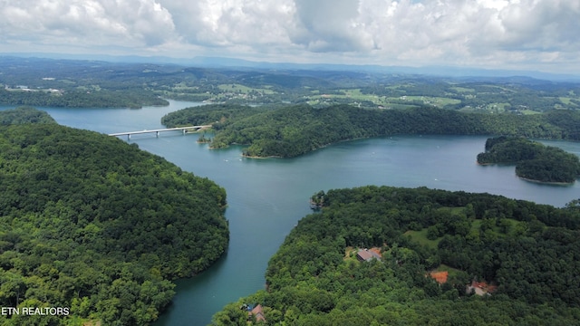 bird's eye view with a water view and a view of trees