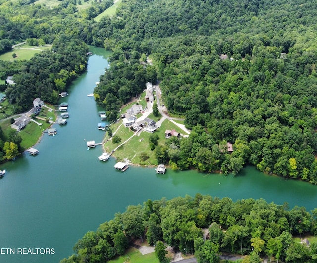 drone / aerial view with a water view and a view of trees