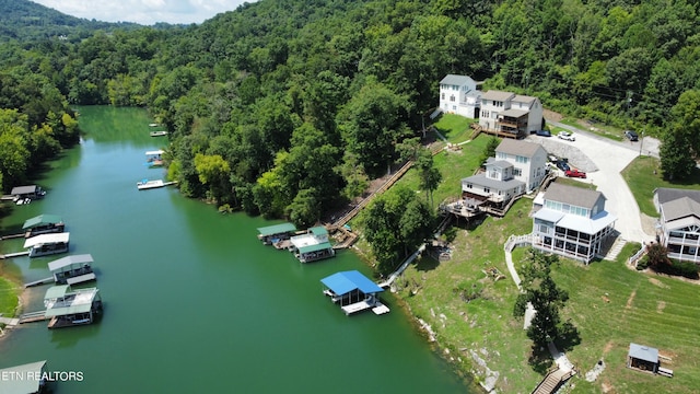 bird's eye view with a water view and a wooded view