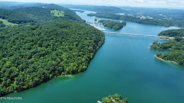 drone / aerial view featuring a water view and a view of trees