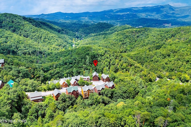 drone / aerial view with a mountain view