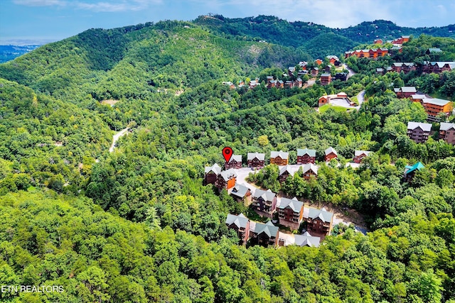 drone / aerial view featuring a mountain view