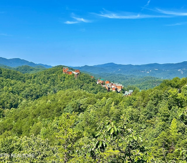 view of mountain feature