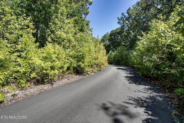 Listing photo 3 for LOT164 County Road 316, Niota TN 37826