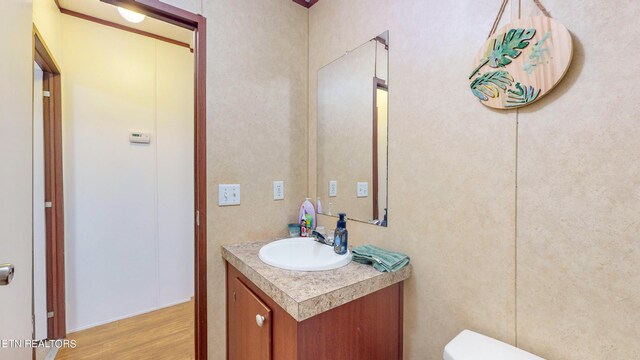 bathroom featuring vanity, hardwood / wood-style flooring, and toilet