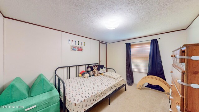 bedroom with carpet floors and a textured ceiling