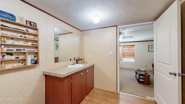 bathroom with a textured ceiling, vanity, hardwood / wood-style flooring, and ornamental molding