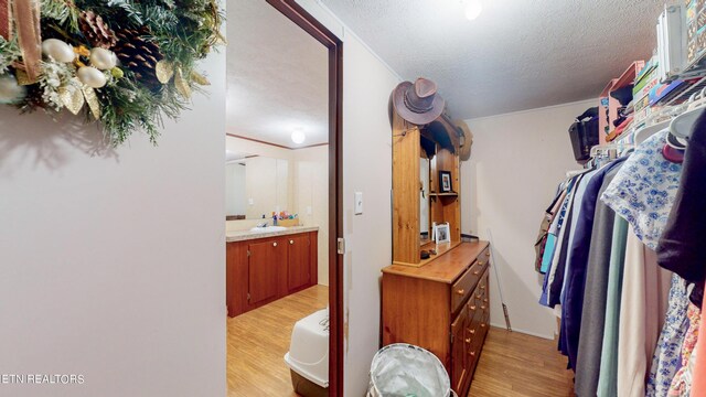 spacious closet with sink and light wood-type flooring