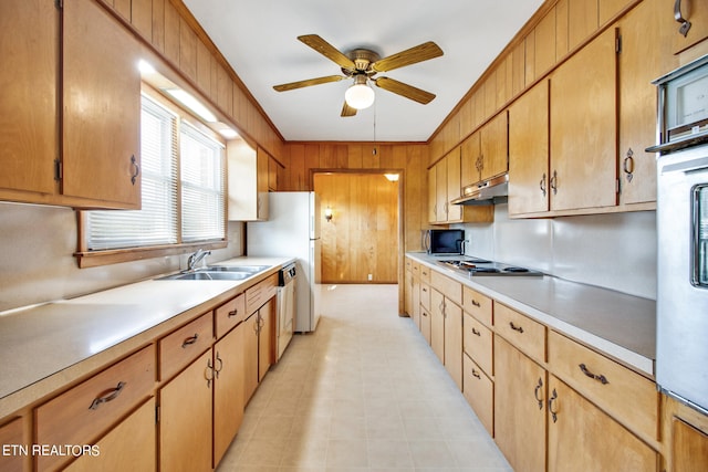 kitchen with crown molding, ceiling fan, sink, and appliances with stainless steel finishes