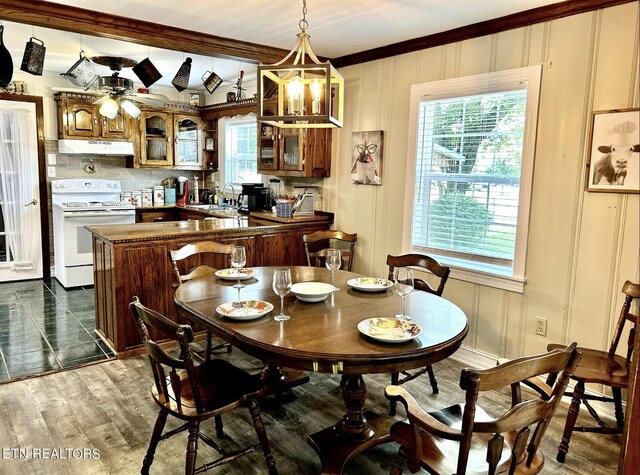 dining area featuring ornamental molding, sink, ceiling fan, and dark hardwood / wood-style floors