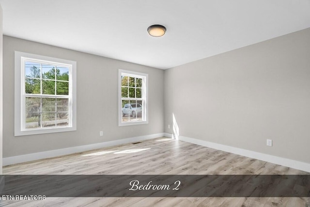 unfurnished room featuring light wood-type flooring and plenty of natural light