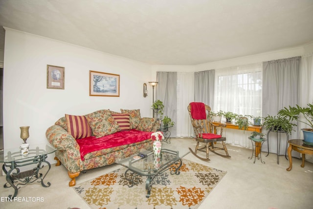 living room featuring carpet flooring