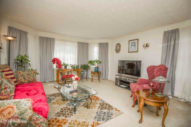 living room with carpet floors