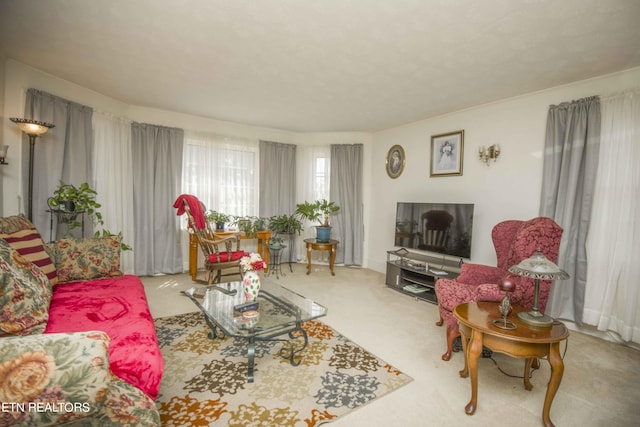 view of carpeted living area