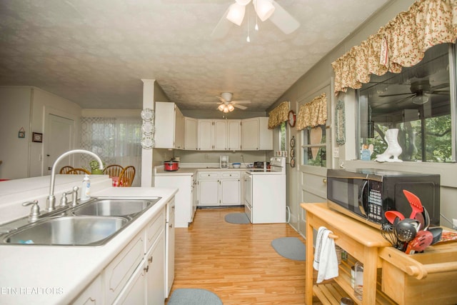 kitchen featuring light wood-type flooring, ceiling fan, plenty of natural light, and sink