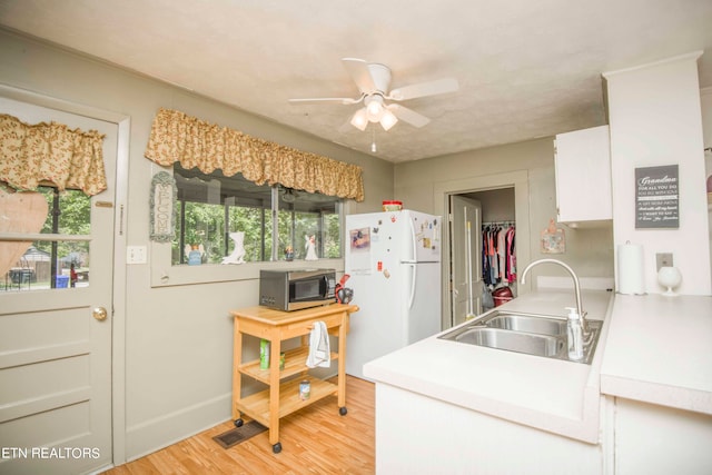 kitchen with light hardwood / wood-style floors, plenty of natural light, sink, and white fridge