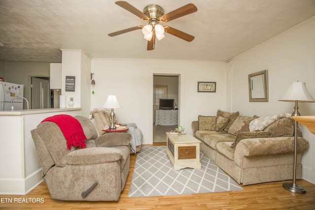 living area with ceiling fan and light wood finished floors