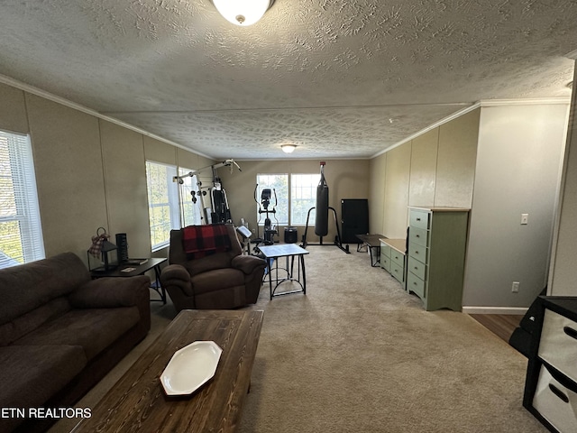 living area featuring light carpet, ornamental molding, and a textured ceiling