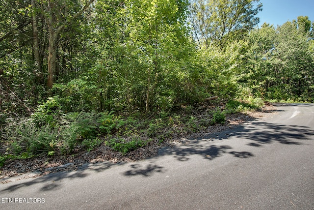 Listing photo 3 for LOT169 County Road 316, Niota TN 37826