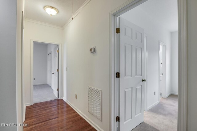 corridor with ornamental molding and carpet floors