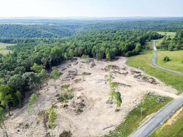 White Creek Dr, Deer Lodge, TN 37726